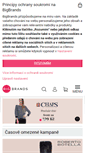 Mobile Screenshot of bigbrands.cz