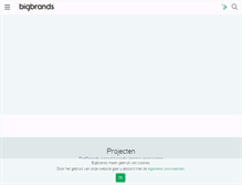 Tablet Screenshot of bigbrands.nl